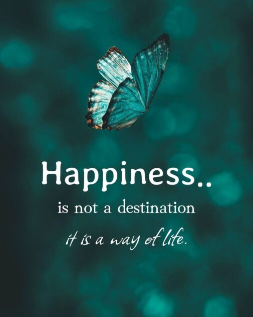 Happiness as a Lifelong Path