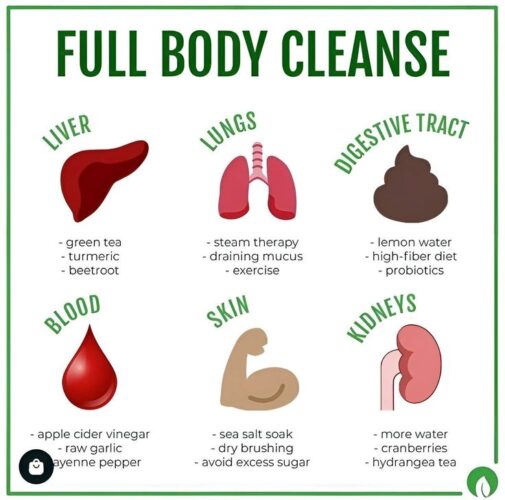 Guide to Full Body Cleanse
